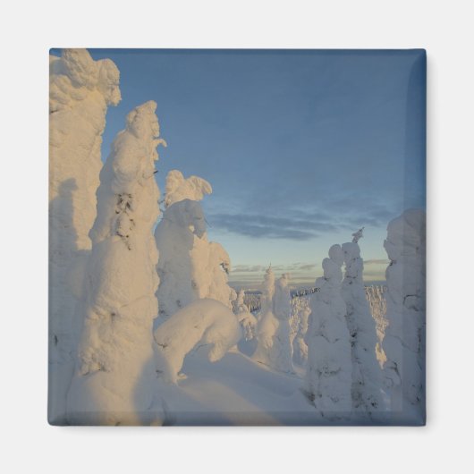 Snowghosts bij zonsondergang in Whitefish Mountain Magneet (Voorkant)