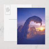 Snowghosts in de Whitefish Range of Montana Briefkaart (Voorkant / Achterkant)