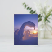 Snowghosts in de Whitefish Range of Montana Briefkaart (Staand voorkant)