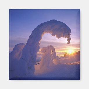 Snowghosts in de Whitefish Range of Montana Magneet