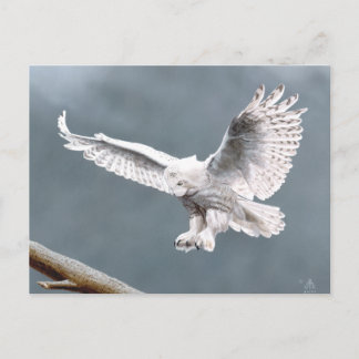 Snowings Briefkaart