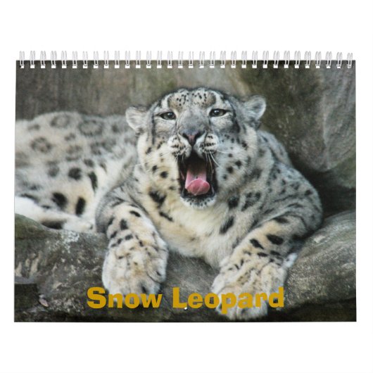 SnowLeopardBCR007, Sneeuwluipaard Kalender (Hoes)