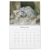 SnowLeopardBCR012, winterluipaard Kalender (Feb 2026)