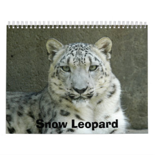 SnowLeopardM002, Sneeuwluipaard Kalender