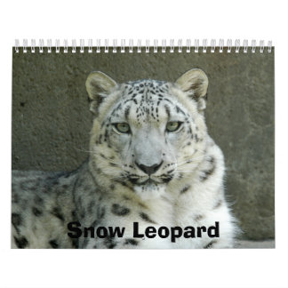 SnowLeopardM002, Sneeuwluipaard Kalender