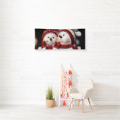 Snowman20150907 Spandoek (Insitu)