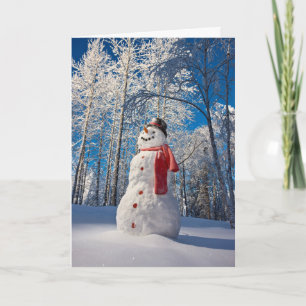 Snowman aan het front van het door sneeuw gedekte feestdagen kaart