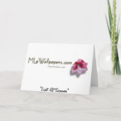 Snowman Holiday Light Display Feestdagen Kaart (Achterkant)