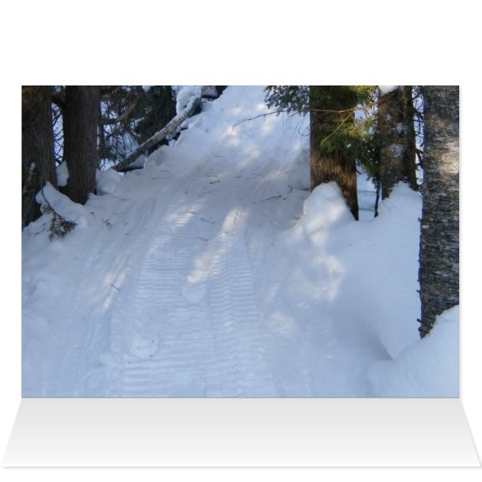 Snowmobile Trail (Intérieur Horizontal (Haut))