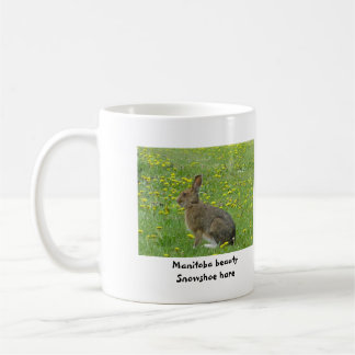 Snowshoe hare adores dandelions koffiemok
