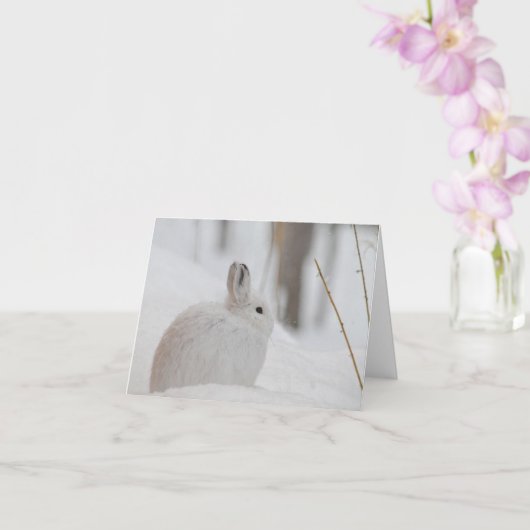 Snowshoe Hare in sneeuw Kaart (Orchidee)