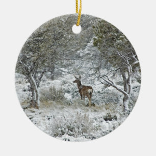 Snowstorm Keramisch Ornament