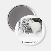 Snowstorm Magneet (Voorkant / Achterkant)
