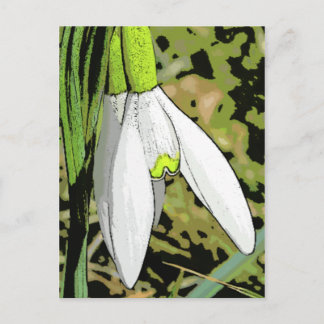 Snowtoons Briefkaart