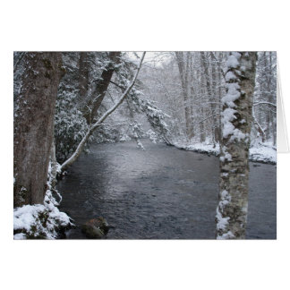 Snowy