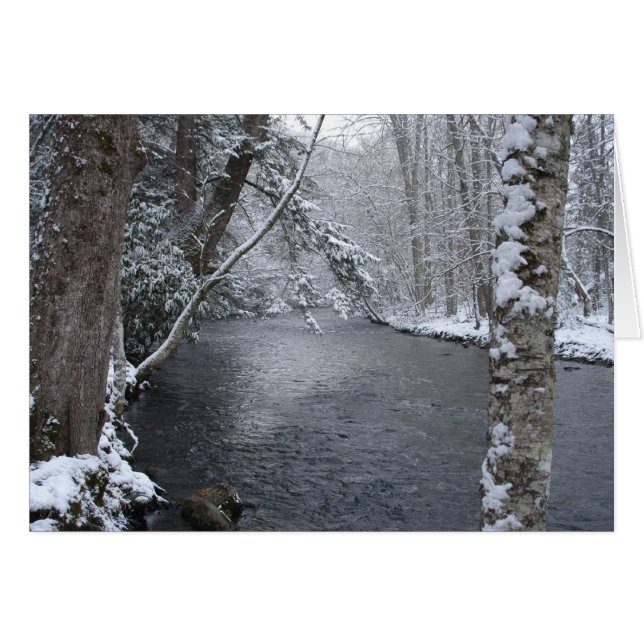 Snowy (Devant Horizontal)