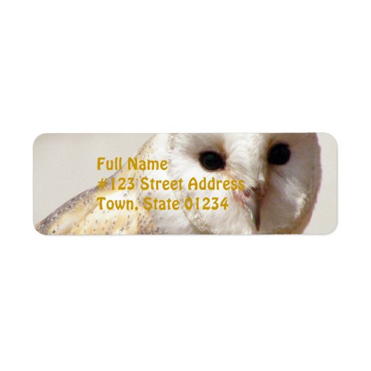 Snowy Barn Owl Mailing Labels (Voorkant)