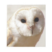 Snowy Barn Owl Notitieblok (Voorkant)