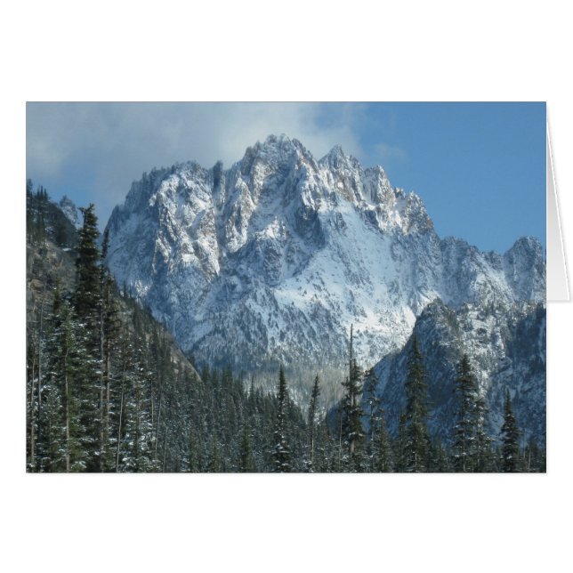Snowy-berg (Voorkant Horizontaal)