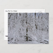Snowy Birch Tree Canopy Briefkaart (Voorkant / Achterkant)