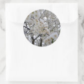 Snowy Blossom Sticker (Sac)
