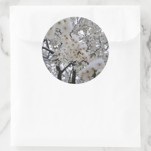 Snowy Blossom Sticker (Sac)