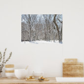 Snowy-bomen in Central Park Poster (Keuken)