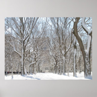 Snowy-bomen in Central Park Poster