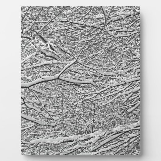 Snowy Branches Fotoplaat (Voorkant)
