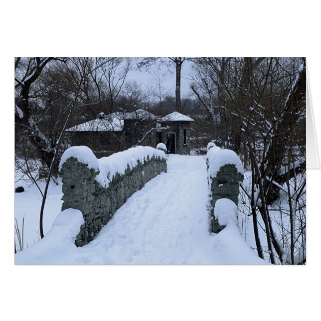 Snowy Bridge (Voorkant Horizontaal)