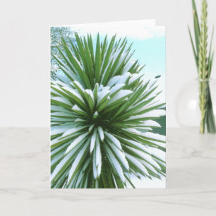 Snowy Cactus kaart