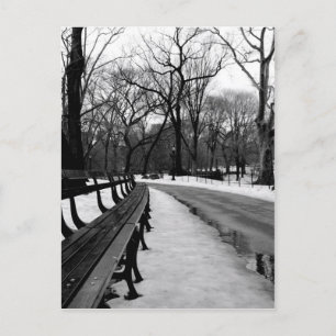 Snowy Central Park Briefkaart