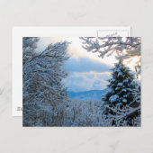 Snowy Colorado Briefkaart (Voorkant / Achterkant)