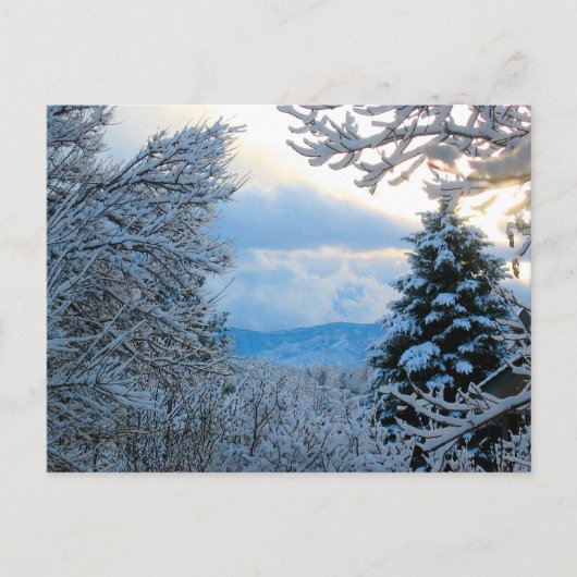 Snowy Colorado Briefkaart (Voorkant)