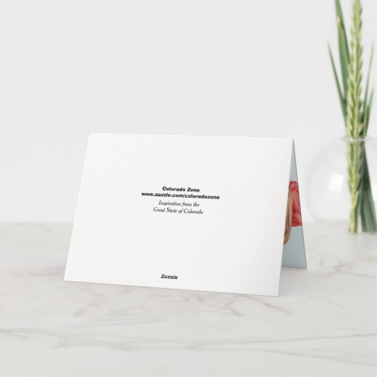 Snowy Colorado Paysage Modèle photo Noël (Dos)