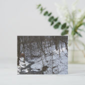 Snowy creek briefkaart (Staand voorkant)