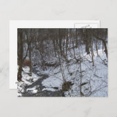 Snowy creek briefkaart (Voorkant / Achterkant)