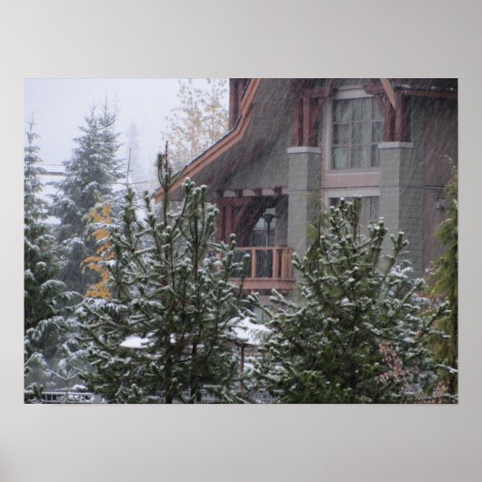 Snowy Day in Whistler, BC Poster (Voorkant)
