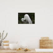 Snowy Egret Bird Poster (Keuken)