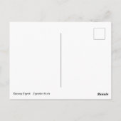 Snowy Egret Briefkaart (Achterkant)