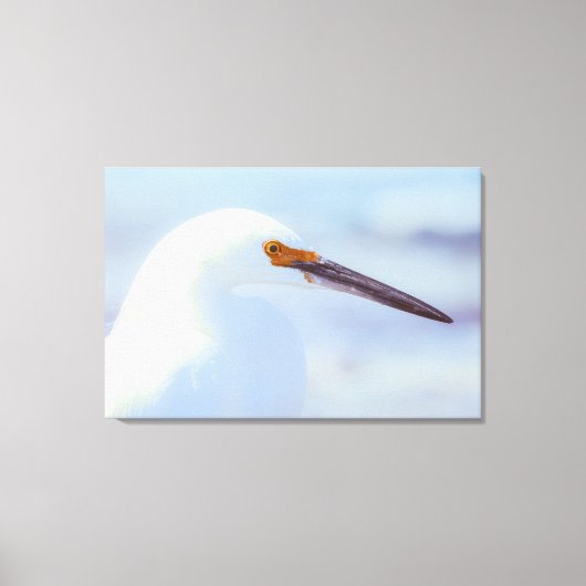 Snowy Egret Canvas Afdruk (Voorkant)