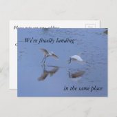 Snowy Egret Heron samen op nieuw adres Aankondigingskaart (Voorkant / Achterkant)