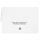 Snowy egret in the Fall color (Dos Horizontal)