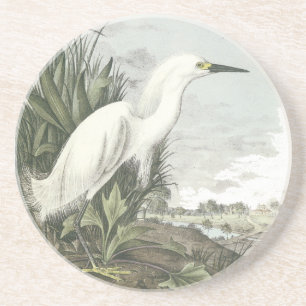 Snowy Egret, John Audubon Zandsteen Onderzetter