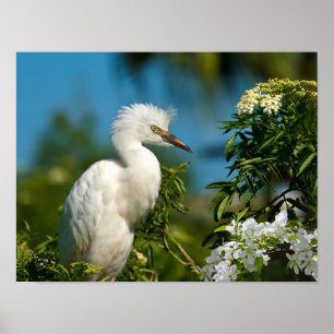 Snowy Egret met Flowers Print of Poster