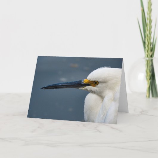 Snowy Egret Notecard Kaart (Voorkant)