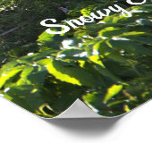 Snowy Egret Poster (Hoek)