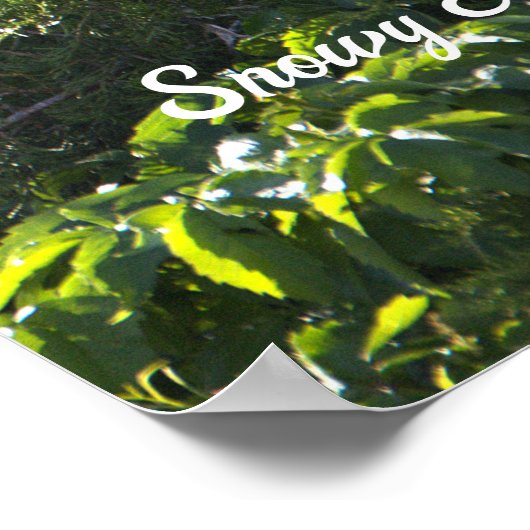 Snowy Egret Poster (Hoek)