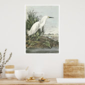 Snowy Egret Poster (Keuken)