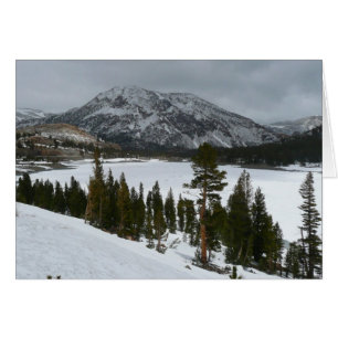 Snowy Ellery Lake California Paysage hivernal
